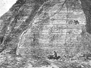 Peruvian Prints: Workings and Guano deposit on the middle Island; About the Chincha Islands