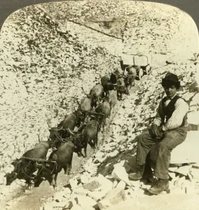 Oxen Prints: The world-famed marble quarries at Carrara, Italy, c1909. Creator: Unknown