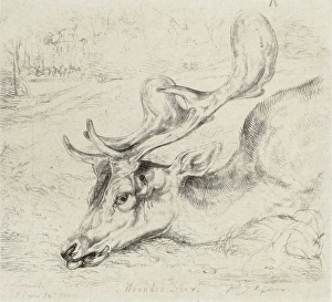 Antler Prints: Wounded Deer, 1824. Creator: John Frederick Lewis