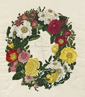 A Wreath of Roses, 1799. Creator: Mary Lawrence (British)