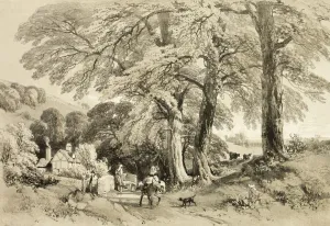 Jd Harding Prints: Wych Elm, from The Park and the Forest, 1841. Creator: James Duffield Harding