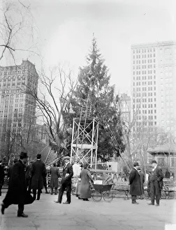 Decorating Prints: Xmas tree in Madison Sq. Park, N.Y.C. between c1910 and c1915. Creator: Bain News Service