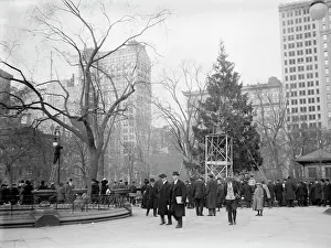 Xmas tree in Madison Sq. Park, N.Y.C. between c1910 and c1915. Creator: Bain News Service