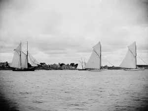 Yachts in Marblehead Harbor, June 28, 1888, 1888 June 28. Creator: Unknown