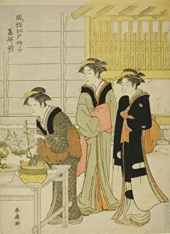 Potted Plants Gallery: Yagenbori, from the series 'Fashionable Sands of Edo (Fuzoku Edo sunago)', c