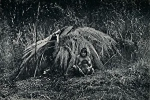 George Francis Scott Elliot Prints: A Yaghan Hut in Fuegia, 1911