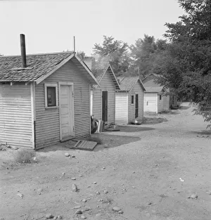 Yakima shacktown, (Sumac Park) is one of several large shacktown communities... Washington, 1939. Creator: Dorothea Lange