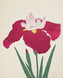 Clump Prints: Yamamatayama, No. 83, 1890, (colour woodblock print)