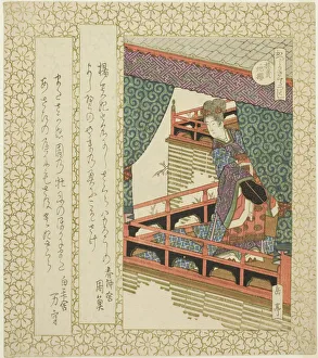 The Yang Guifei Cherry Tree (Yokihisakura), from the series Cherry Trees for the... c. 1821 / 22. Creator: Gakutei