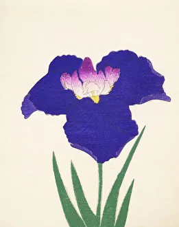 Clump Prints: Yedo-Jiman, No. 36, 1890, (colour woodblock print)