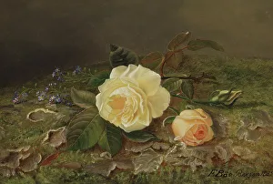 Condolence Prints: Yellow Roses, 1885. Creator: Frants Diderik Boe