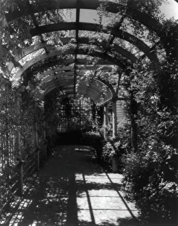 Arbour Prints: York Cottage, York Hall, York Co