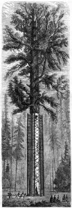 Yosemite National Park, California, 19th century. Artist: Paul Huet