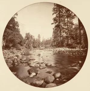 [Yosemite National Park, California], ca. 1878. Creator: Carleton Emmons Watkins