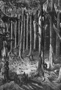 Yosemite National Park, USA, c1875