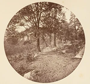 Rocky Prints: In the Yosemite Valley, ca. 1878. Creator: Carleton Emmons Watkins