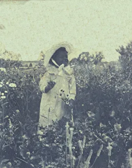 Platinum Prints 1900 Gmgpc Prints: Young African-American(?) girl
