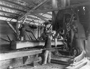 Training College Prints: Three young black men working in lumber mill at Hampton Institute