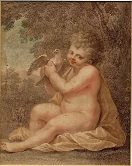Dove Prints: Young Boy With A Dove, 1775-1799. Creator: Francesco Bartolozzi