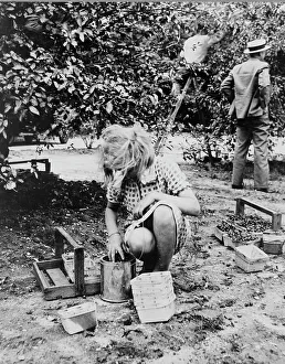 Cherry Trees Prints: Young cherry picker, near Millville, New Jersey, 1936. Creator: Dorothea Lange