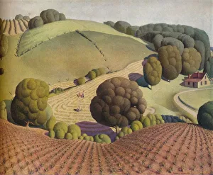 Corn Prints: Young Corn, 1931, (1938). Artist: Grant DeVolson Wood