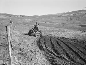 Young farmer, member of Ola self-help sawmill co-op, plowing... Gem County, Idaho, 1939. Creator: Dorothea Lange