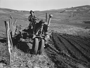 Cooperative Gallery: Young farmer plowing while other co-op members... Ola self-help sawmill co-op, Gem County, 1939