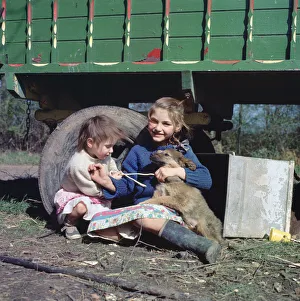 Boxall Prints: Two young gipsy girls playing with a dog, Charlwood, Newdigate area, Surrey, 1964