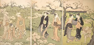 Triptych Of Polychrome Woodblock Prints Gallery: Young Ladies Viewing Cherry-blossoms at Asukayama. Creator: Torii Kiyonaga