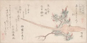 Young Pine Tree and Handle of a Plow, 19th century. 19th century. Creator: Shinsai
