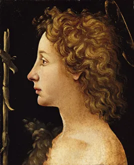 Tempera And Oil On Wood Collection: The Young Saint John the Baptist, ca. 1480-82. Creator: Piero di Cosimo