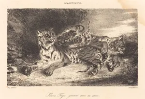 Annoying Prints: Young Tiger Playing with its Mother (Jeune tigre jouant avec sa mere), 1831