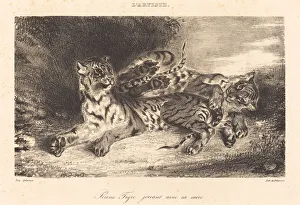 Young Tiger Playing with its Mother (Jeune tigre jouant avec sa mere), 1831