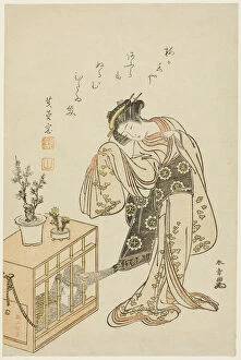 Cage Collection: Young Woman with a Caged Monkey (Calendar Print for New Year 1776), Japan, 1776. Creator: Shunsho