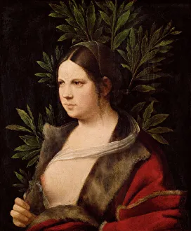 Petrarch Prints: Young Woman (Laura), 1506. Artist: Giorgione (1476-1510)