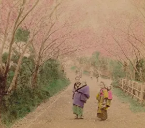 Youthful Mothers of Japan, 1896