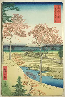 Yuhi Hill at Meguro in the Eastern Capital (Toto Meguro Yuhigaoka), from the series Thirty-six... Creator: Ando Hiroshige. Yuhi Hill at Meguro in the Eastern Capital (Toto Meguro Yuhigaoka), from the series Thirty-six