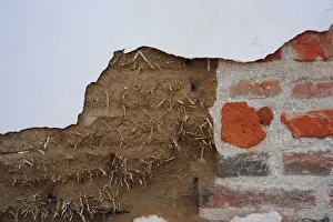 Zana, Lambayeque, Peru, 2015. Creator: Luis Rosendo