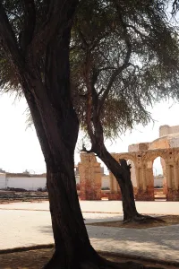 Zana, Lambayeque, Peru, 2015. Creator: Luis Rosendo