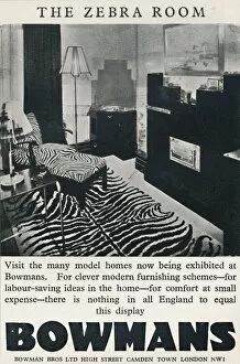 Animal Hide Gallery: The Zebra Room - Bowmans, 1933