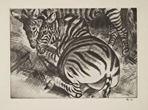 Laura Knight 1877 1970 Prints: Zebras, pub. 1930. Creator: Laura Knight (1877 - 1970)