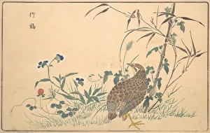Quail Prints: Zhu ji, 1789. Creator: Kitao Masayoshi