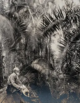 Exploring Prints: Zimbabwe: a member of the British Association sitting in a palm ravine