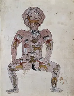 Copy Prints: The zodiac man, (between 1800 and 1899?). Creator: Unknown