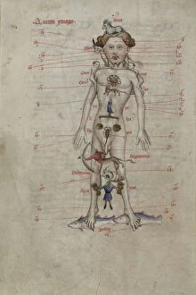 Alchemy Collection: A Zodiac Man diagram showing the seasons for bloodletting. From Liber Cosmographiae, 1408