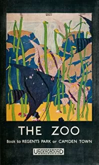 Camden Town Gallery: The Zoo, 1924. Artist: Gregory Brown