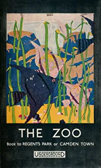 Aquarium Prints: The Zoo, 1924. Artist: Gregory Brown