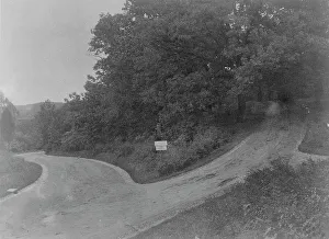 Cyanotypes 1890 1900 Gmgpc Prints: Zoo, c1895. Creator: Frances Benjamin Johnston