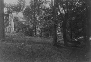 Cyanotypes 1890 1900 Gmgpc Prints: Zoo, c1895. Creator: Frances Benjamin Johnston