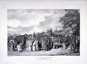 Zoological Gardens, Regents Park, Marylebone, London, 1835. Artist: George Scharf